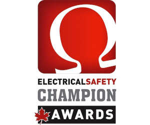 Electrical Safety Champion Awards Program